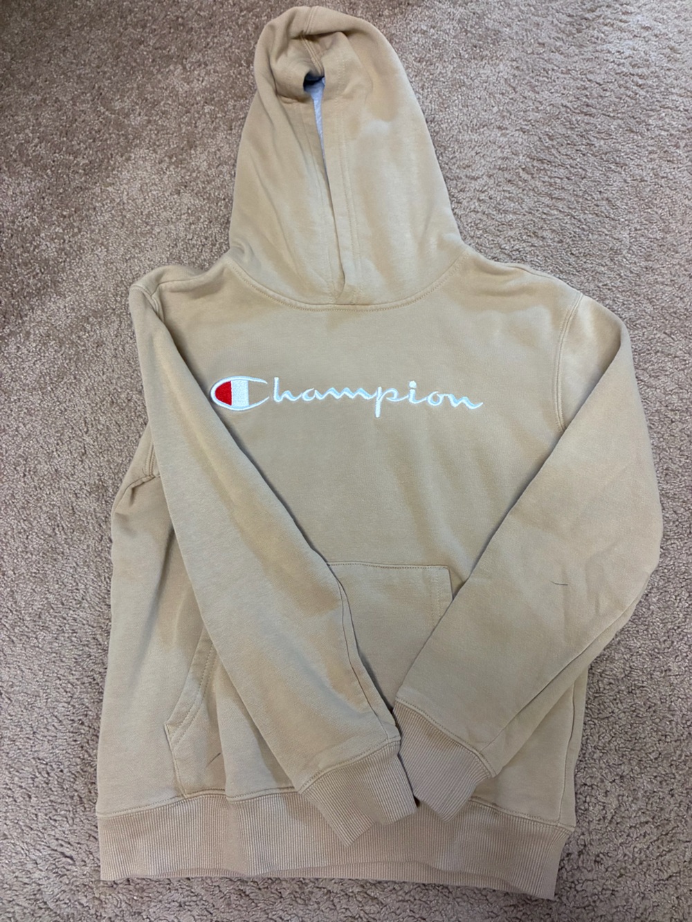 Champion Boys Hooded Sweatshirt